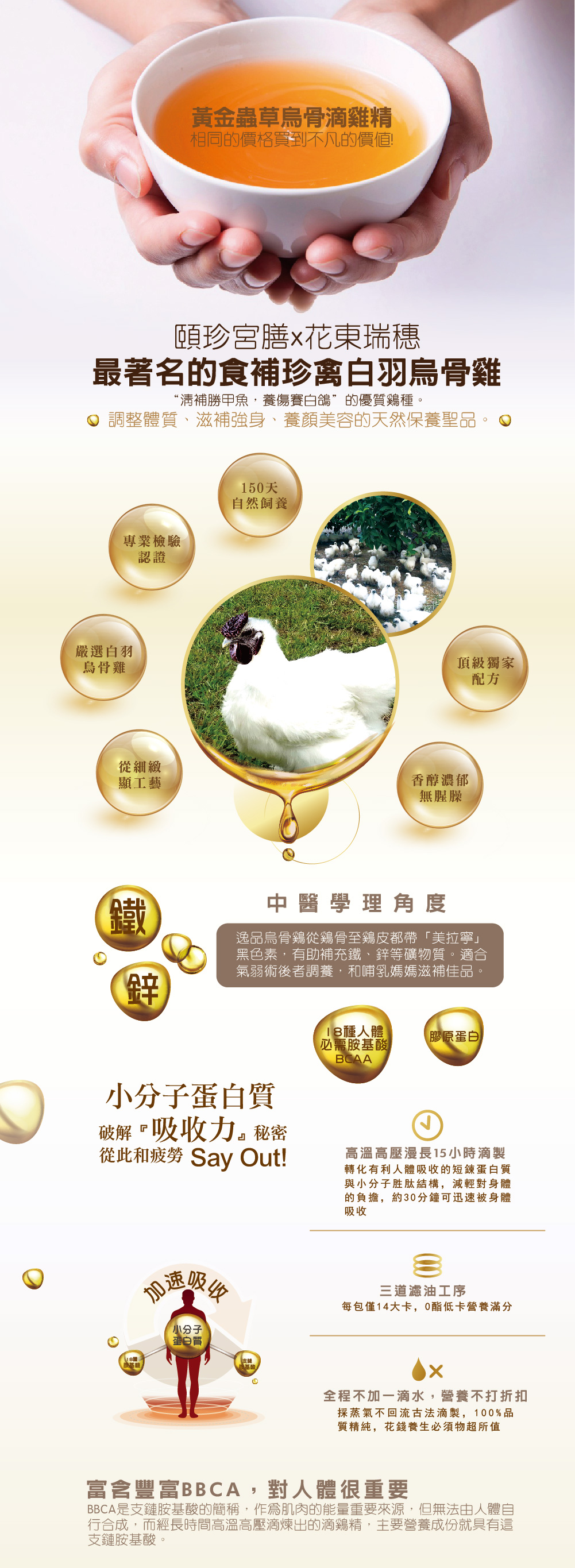 黃金蟲草 滴雞金 白羽烏骨雞 雞湯 蟲草 坐月子 保養