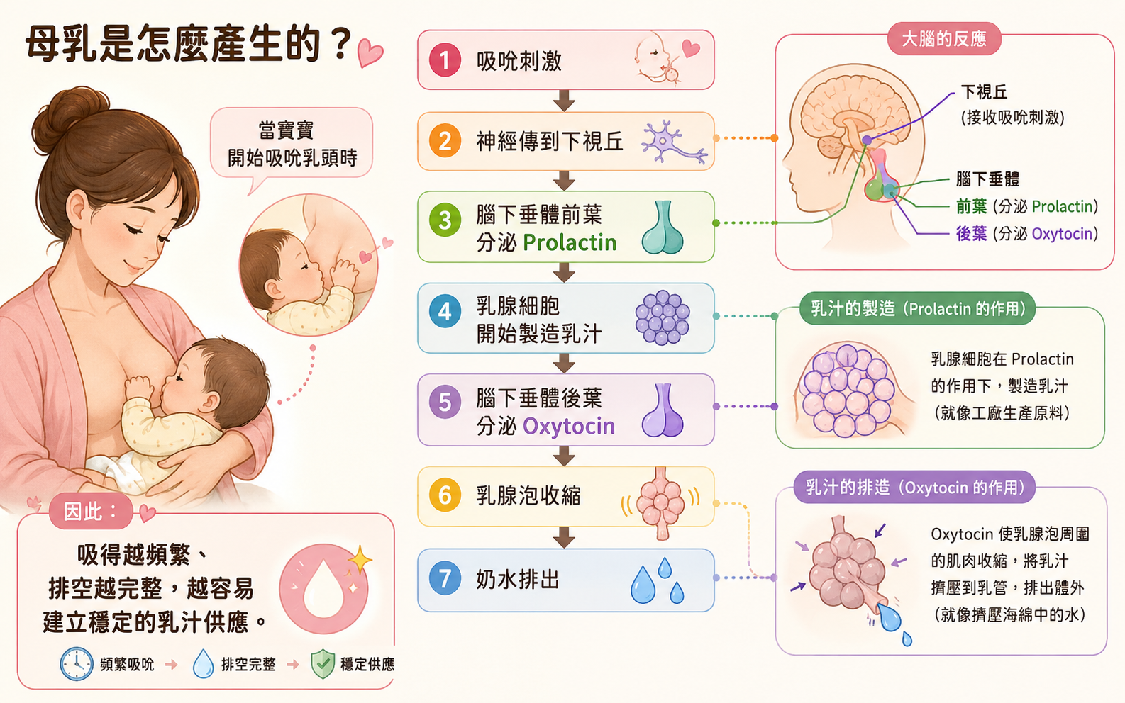 頤珍宮膳、青木瓜豐汝滋養茶、YIFOOD、親餵、餵母奶、產後、坐月子、哺乳